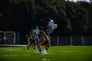 https://cdn.flasheart.app/000562/3930/T/f02ea98732994ae2b278c6324d1f2b51.jpg