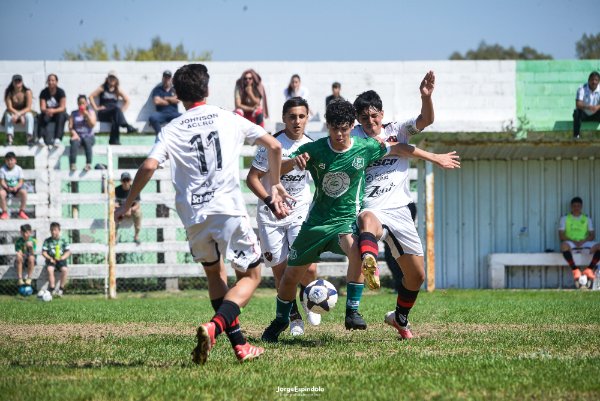 8va afa camionero vs patronato