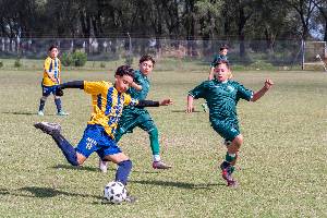 https://cdn.flasheart.app/000897/2311/T/5bf827b9ebf64d179fe8717bc372f8a6.jpg