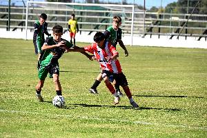 https://cdn.flasheart.app/001393/2811/T/64c95017c1844f64b478a9871980ec12.jpg