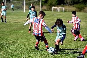 https://cdn.flasheart.app/001393/2811/T/af4467617d824c82aba6d6c68f7bb05e.jpg