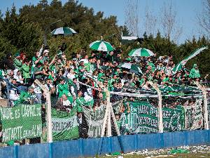 https://cdn.flasheart.app/001420/6291/T/93d14fd53ee44914b16bb80d26ea17d8.jpg