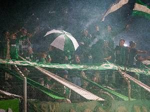https://cdn.flasheart.app/001420/6635/T/7cb15a8c4c254bc7aab06937047f56be.jpg