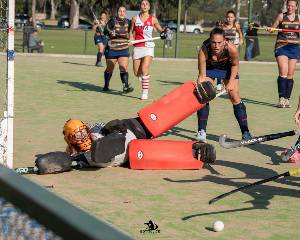 https://cdn.flasheart.app/001885/3542/T/d9ba6ff417f44992a59fe9a142815147.jpg