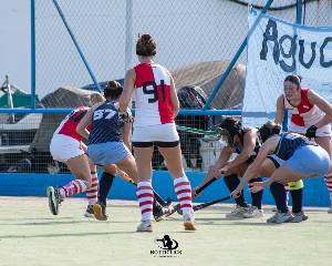 https://cdn.flasheart.app/001885/4236/T/651d7624d47845a69fa3f3535f28829c.jpg