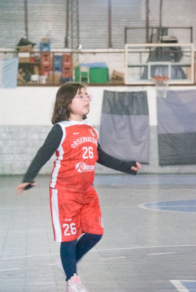 mini basquet (mosquitos- premini-mini)