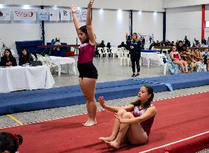 https://cdn.flasheart.app/002068/4396/T/2e4929bcc45941c7b38de298f2c8d2c0.jpg
