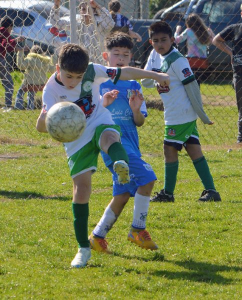 Fecha 16 Parquemar