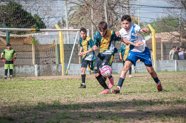 Oro Verde-Argentino Inferiores